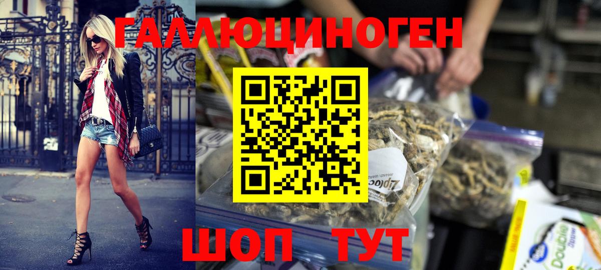 купить   Псилоцибиновые грибы Magic Shrooms  Вход с VPN  Новодвинск 